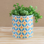 Plantpot Blossom Pansy