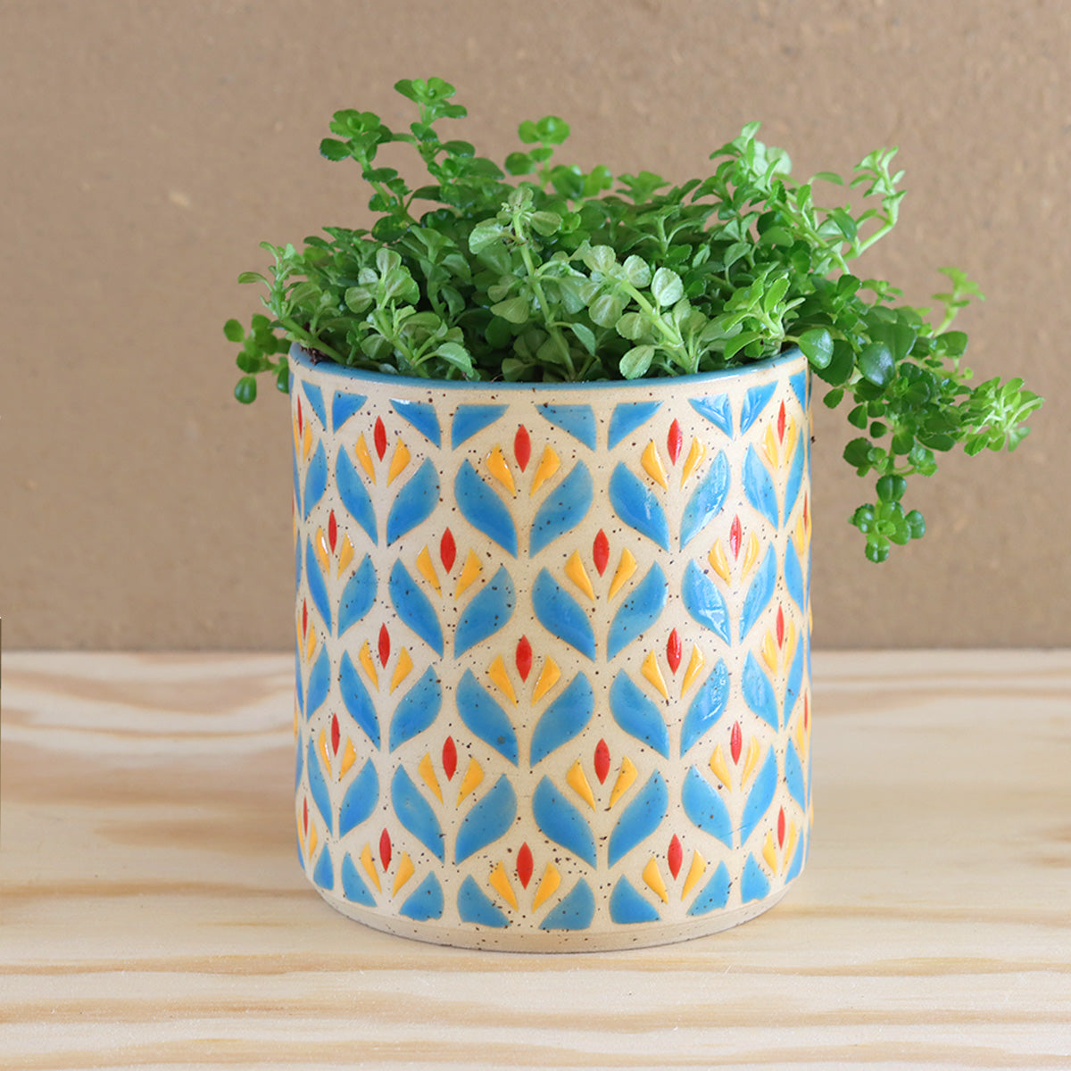 Plantpot Blossom Pansy