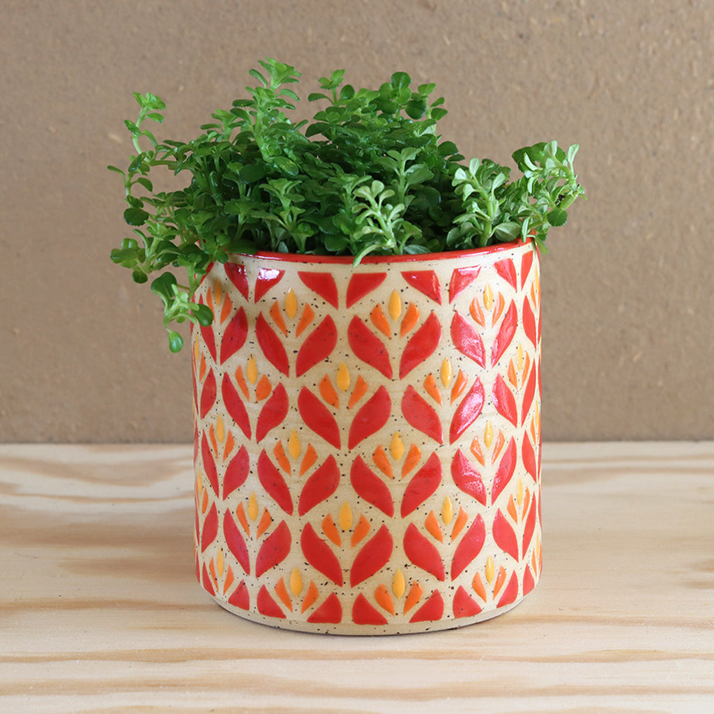 Plantpot Blossom Tulip