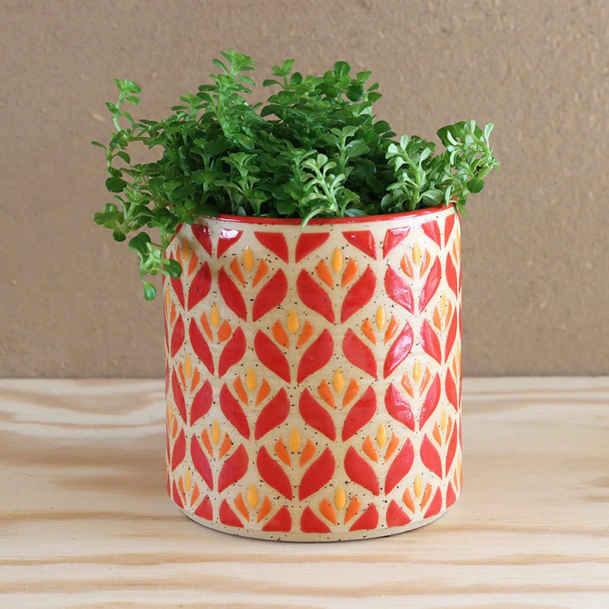 Plantpot Blossom Tulip