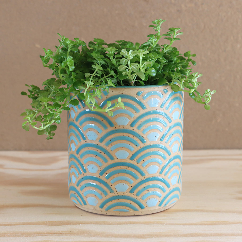 Plantpot Horizon Aqua