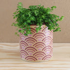 Plantpot Horizon Purple
