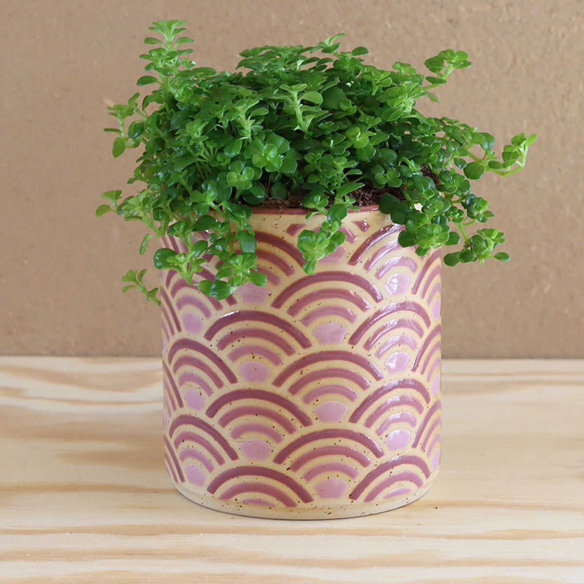 Plantpot Horizon Purple