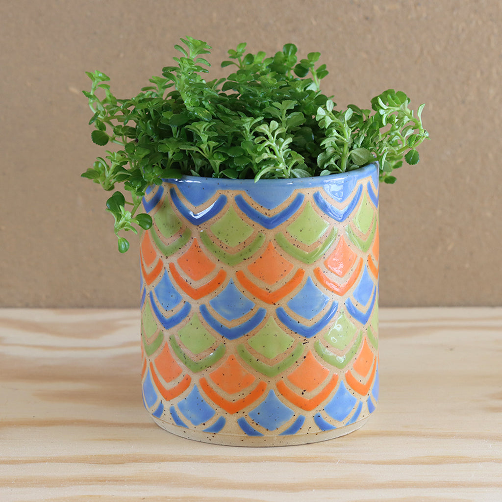Plantpot Petal Dance