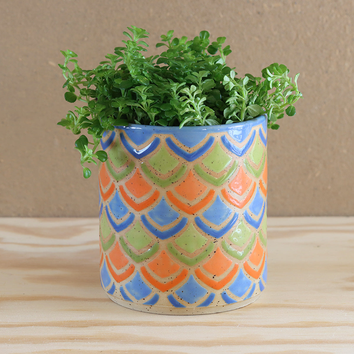 Plantpot Petal Dance