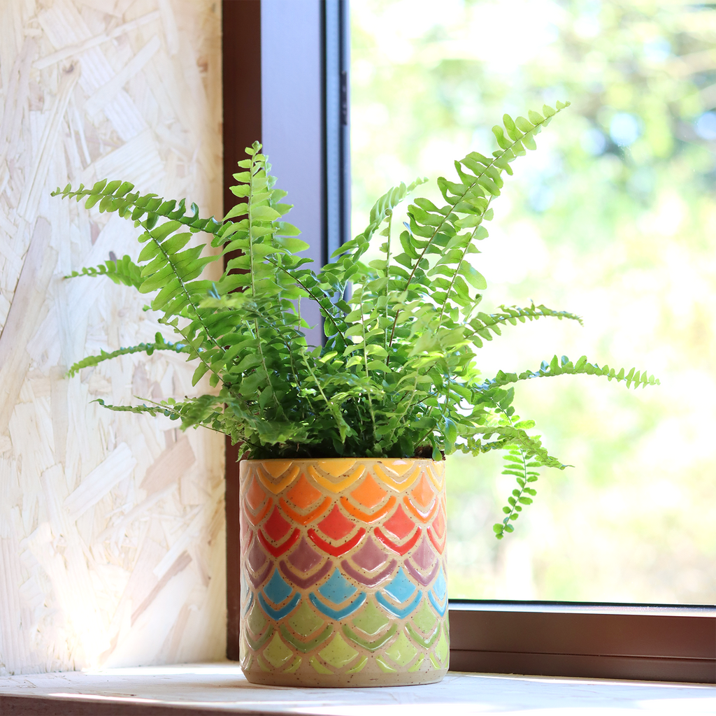 Ceramic planter with beautiful rainbow petal pattern, handmade and one-of-a-kind