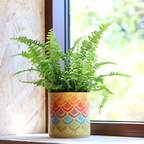 Ceramic planter with beautiful rainbow petal pattern, handmade and one-of-a-kind