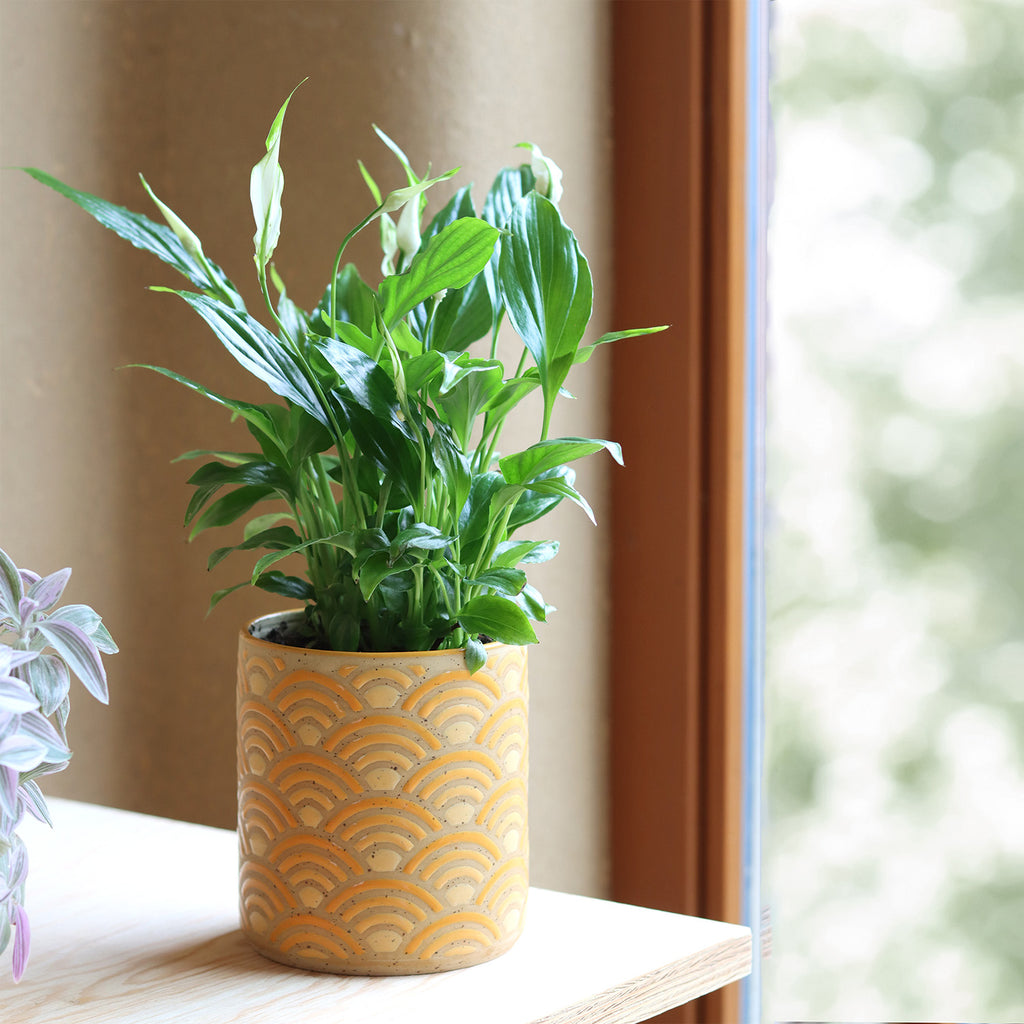 Plantpot Horizon Yellow