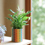 Plantpot Swirls Confetti