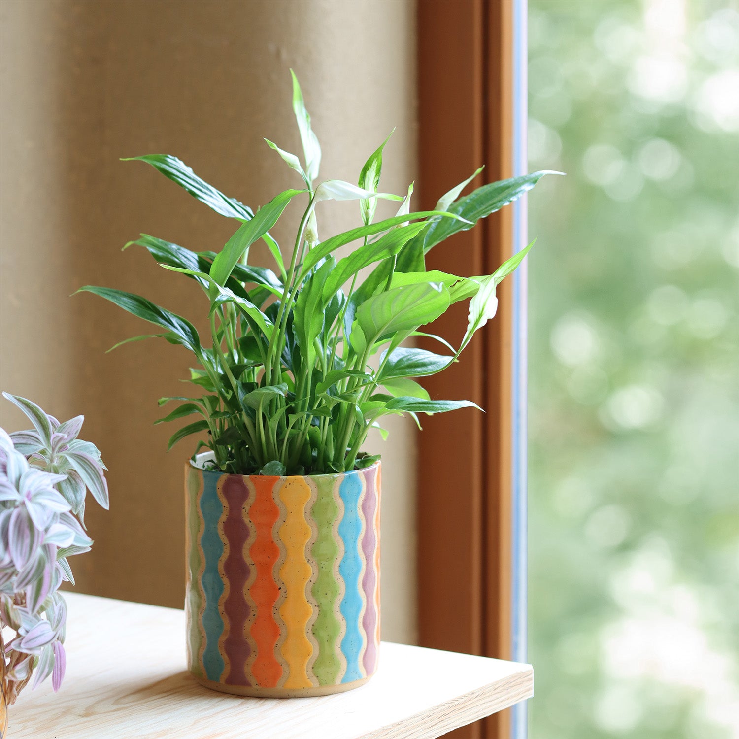 Plantpot Swirls Confetti