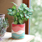 Plantpot Waves Blush